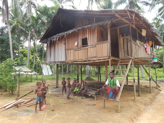 хижина в новой гвинее