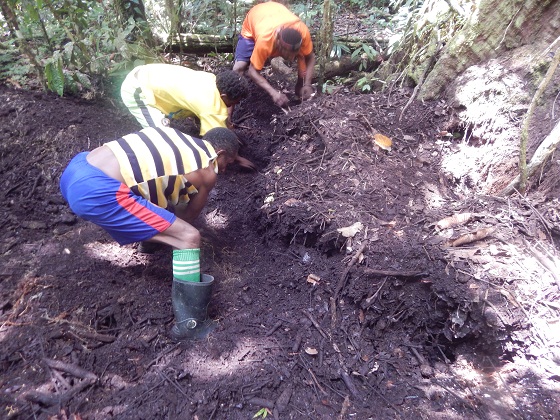 папуасы в лесу