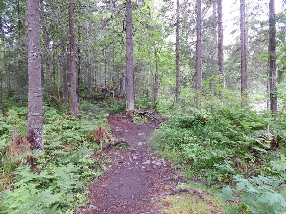 тропа-на-кваркуш