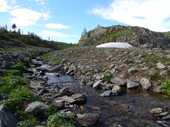 плато-кваркуш