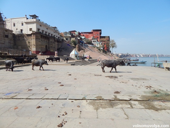 Ганг-река-варанаси