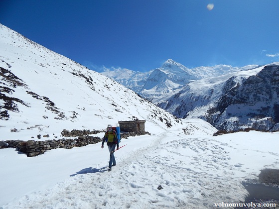 Алексей-Заболотных