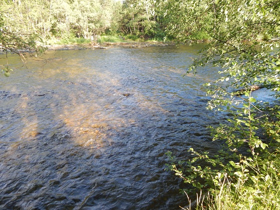 перекат-ауспия-рука