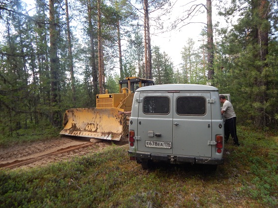 дорога на перевал дятлова