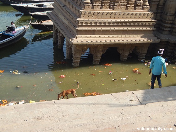 на-реке-ганг