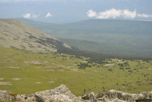 граница-леса