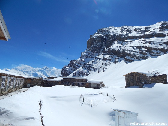 base-camp-thorung-la-pass