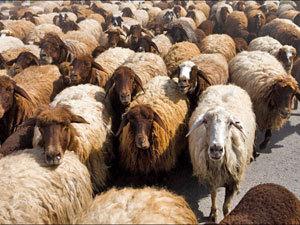 кто-такой-быдло