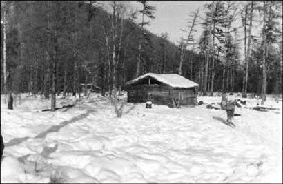 жизнь-в-тайге