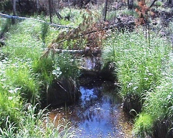 исток-катанги-подкаменой-тунгуски