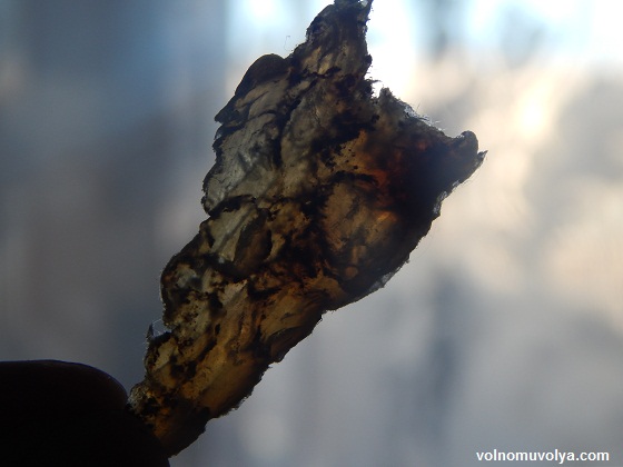 просвечивает-кусок-колбасы