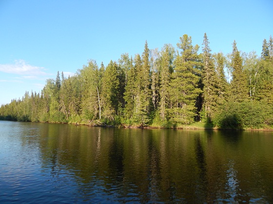 лозьва у базы ильича