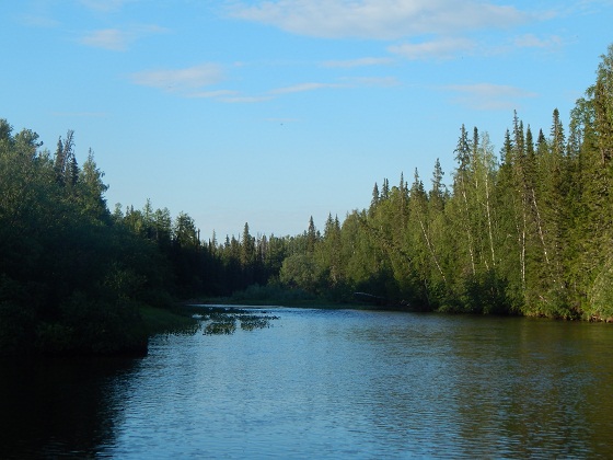 лозьва-база-ильича