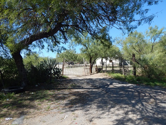 поездка по мексике бесплатно