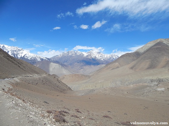 Природа-Мустанга