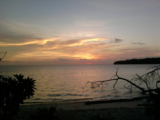 Ночь-в-тропиках