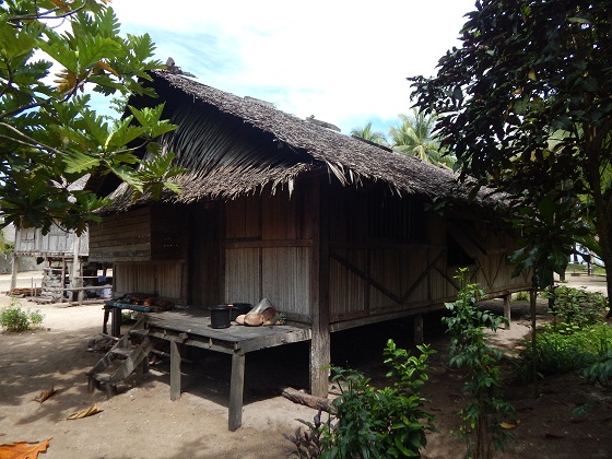 хижина в новой гвинее