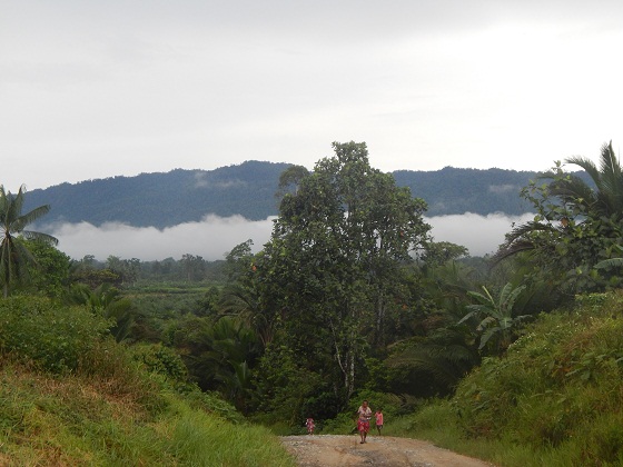 природа папуа новой гвинеи