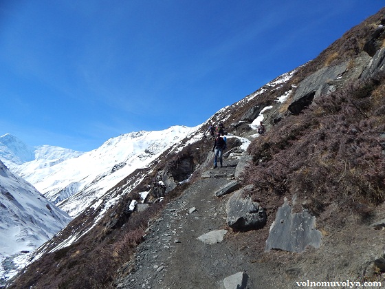 high-camp-thorung-la
