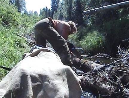 пропил-заноса