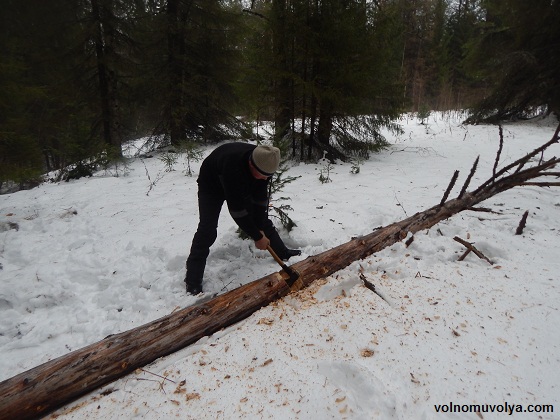 рубка-дерева