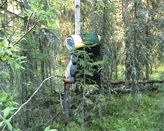 рюкзак-в-тайге