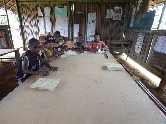 школа в папуа новой гвинее