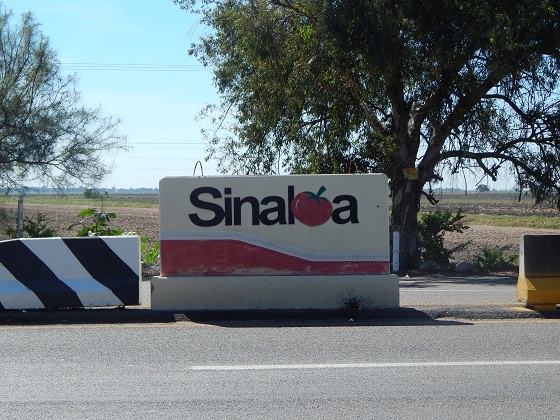 sinaloa