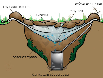 vyzhivanie-na-ostrove