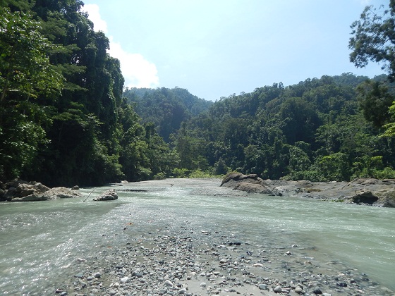 река в папуа новой гвинее